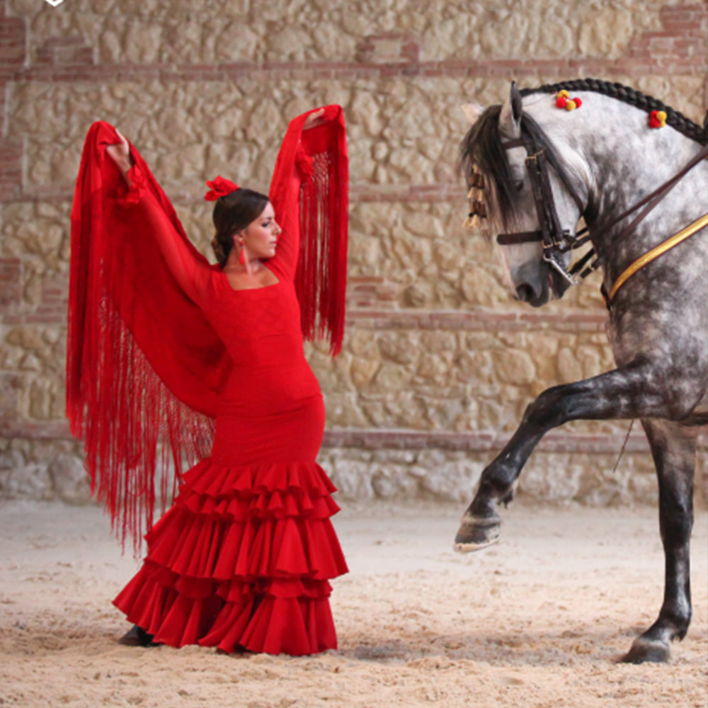 Pasión y Duende del Caballo Andaluz: Espectáculo ecuestre
