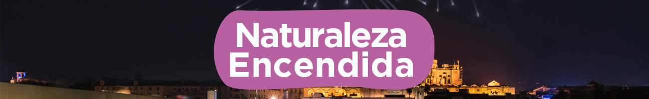 Naturaleza encendida